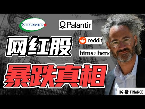 网红股为何暴跌？PLTR可以抄底吗？SMCI/HIMS/RDDT | 猴哥财经 | 美股 | 投资 | 股票