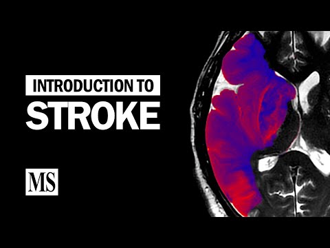 Introduction To Stroke