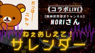 NORIさんコラボ🎉ねぇ教えて！サレンダー