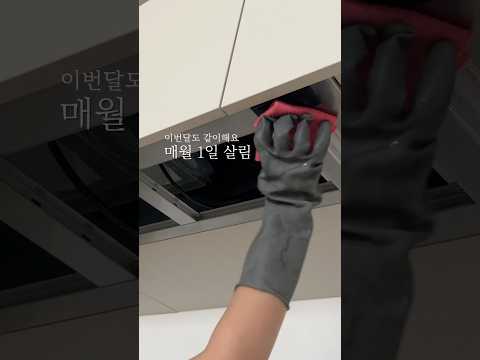 매달 1일 청소 루틴 매월 첫째주 청소 살림 브이로그 살림 꿀팁