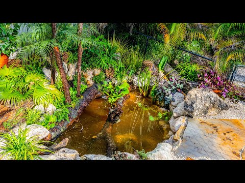 DIY Naturalistic Bog Filtered Garden Pond for Turtles