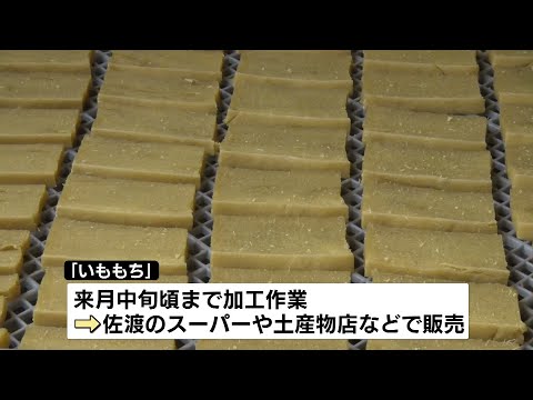 【伝統の保存食】サツマイモ使った「いももち」佐渡市で最盛期　《新潟》