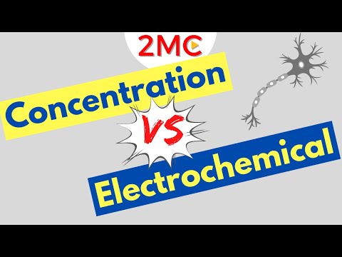 Concentration Gradients VS Electrochemical Gradients | With Examples