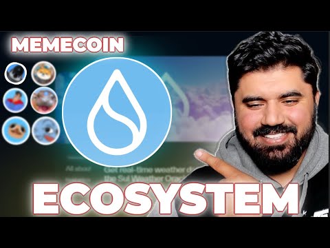 SUI MemeCoin Ecosystem Explained: The Key to SUI Coin’s Rapid Growth!