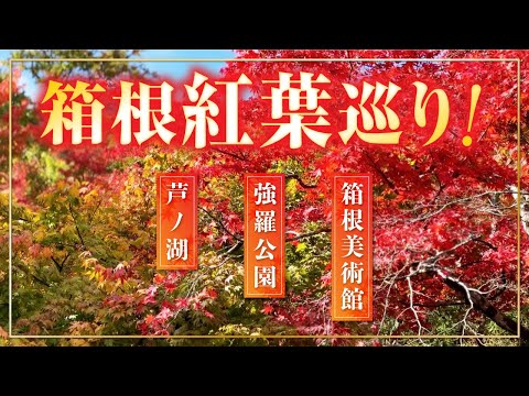 【日帰り】箱根紅葉巡りの旅！箱根美術館・強羅公園・芦ノ湖を堪能