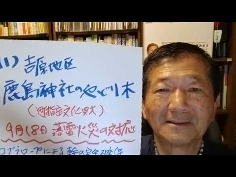 「鹿島神社のやどり木・落雷火災への対応」　令和６年第１８回全員協議会　令和６年１１月２６日 　#阿見町　#海野隆　#れいわ新選組　#阿見町議会　#全員協議会