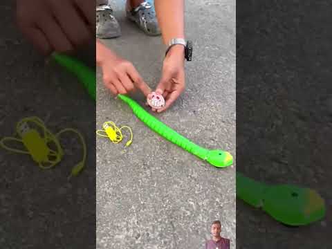 #rcsnake #snake #satisfying #experiment #toys #animals #ruhulshorts #unboxing #funny #comedy