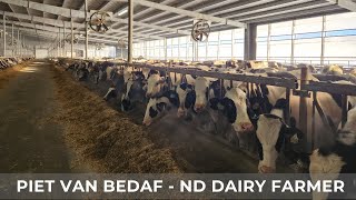 Frozen Manure in our Heifer Barn (172)