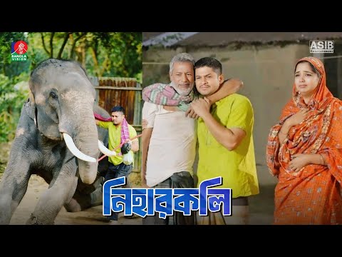 নিহারকলি নাটক | Niharkoli Natok | Niloy Alamgir | Hime | New Natok 2025