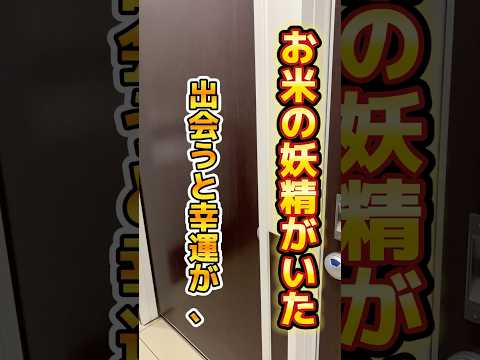 お米の妖精がいた❗️出会うと幸運が、、、？#shorts #short