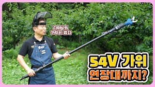 [다사와공구 #167] 54V의 강력한 힘 가지치기 대박~