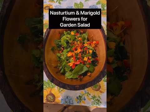 What Flowers Make Your Garden Salad Special?