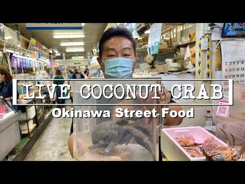 LIVE Coconut Crab (Yashigani) Has Another Surprise For Me! PARASITES!! Okinawa Street Food