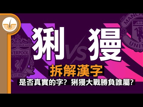 拆解漢字「猁」「獌」！神秘生物猁獌大戰勝負誰屬?  (繁中字幕)