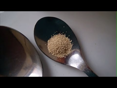 Dry yeast amount for bread dough