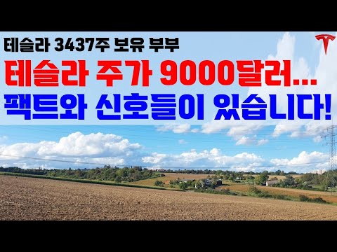 지혜로운 우리는 그가 하는 말을 신뢰합니다. 9000달러도 믿고 투자 합시다!