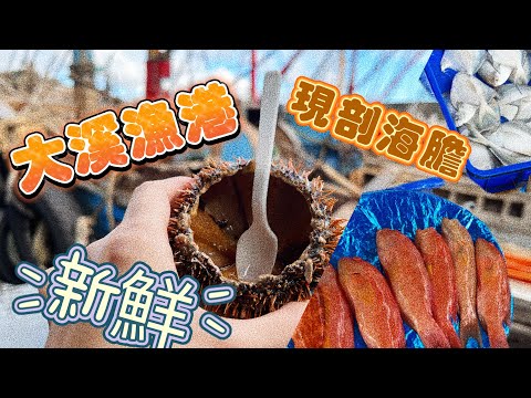 大溪漁港初體驗｜現剖海膽炒鮮甜Q｜胭脂蝦看了好想吃｜#宜蘭