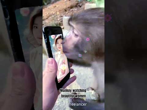 猴子也喜欢美女|monkey kissing the young lady|猴子亲吻美女#shortvideo #funny #funnyvideos #animals