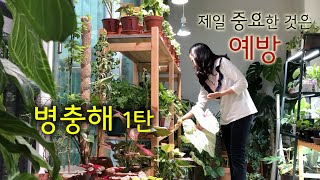 (병충해 예방1탄) 가장 신경쓰는 2가지!