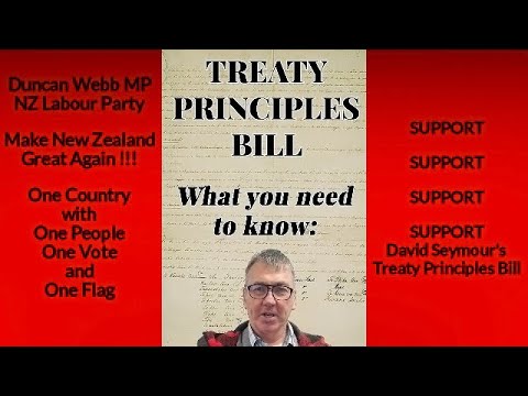 NZ Labour Party Supports The Treaty Principles Bill