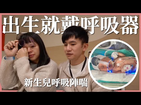 剛出生就戴呼吸器，太心疼了｜豬豬隊友 Scott & Wendy