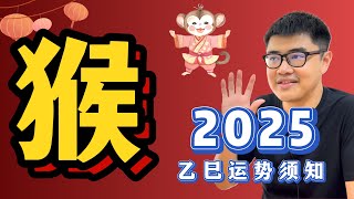 能够越挫越勇，猴王才能大显威风的一年？| 2025乙巳年运势——【猴】Monkey｜蛇年生肖运程 | 超详细完整解析