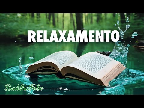 Estudo e Relaxamento Profundo 🌧️📚 [para Dias Chuvosos]