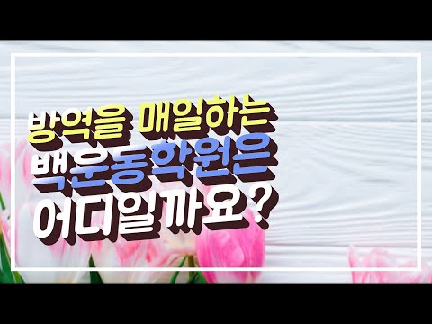 방역을매일하는백운동학원은어디일까요?