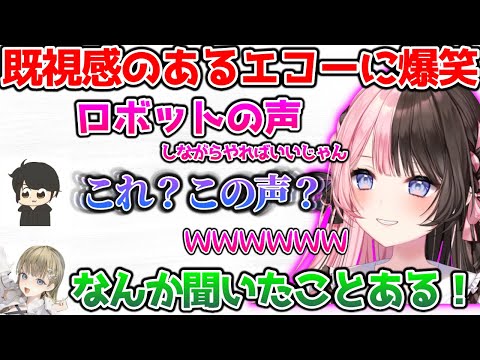 既視感のある、ぎるるのエコーに爆笑するひなーの【ぶいすぽっ！切り抜き】