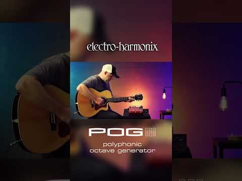 EHX POG3 Octave Pedal Acoustic Guitar Demo