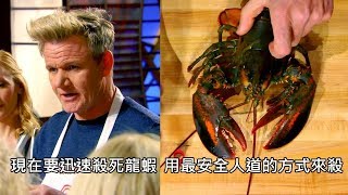 廚神戈登拉姆齊示範如何完整取出龍蝦殼中的蝦肉 (中文字幕)