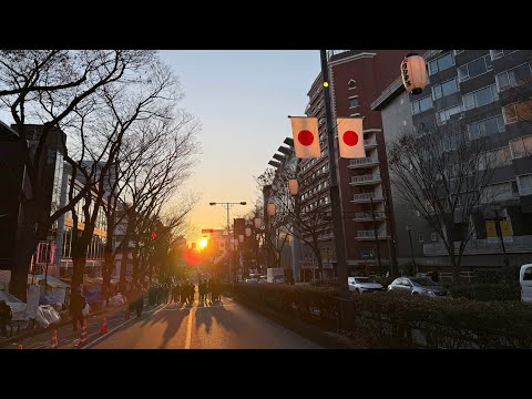 令和7年 2025 神宮橋・神の通り道から昇る初日の出🌅