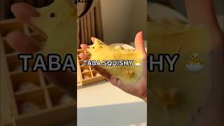 *RESULTS* I Made a VIRAL TABA SQUISHY! 😱😳 How to Make a Taba Squishy Tutorial