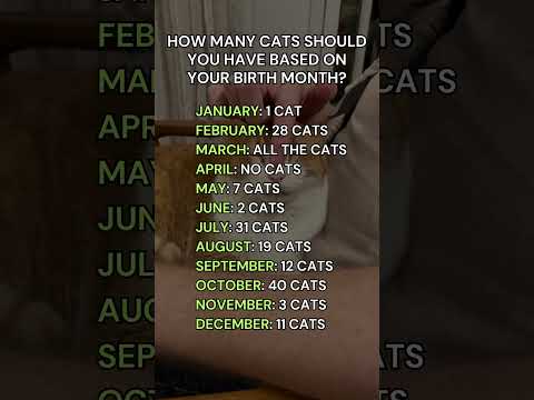 How many cats should you have based on your birth month #astrology #zodiac