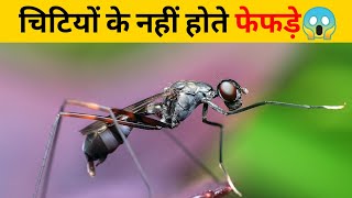 चिटियों के नहीं होते फेफड़े😱 | #shorts #newfactsvideohindi #amazingfactsvideo