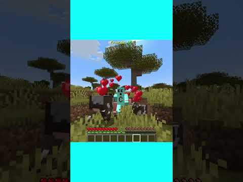 Minecraft but Mobs Love You