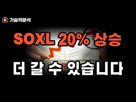 엔비디아 SOXL 20% 폭등 ｜더 오를 수 있는 이유