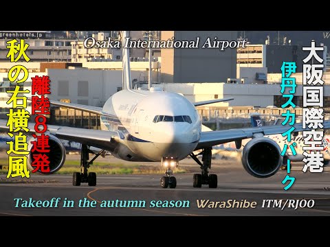 伊丹空港 秋の右横追風離陸８連発 | 4K Takeoff in Osaka ITAMI Airport ITM/RJOO