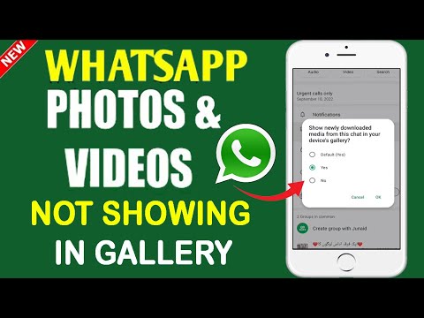 WhatsApp Photo Video Gallery Me save Nahi Ho Rahi | Whatsapp Video and Photo Not Save in Gallery