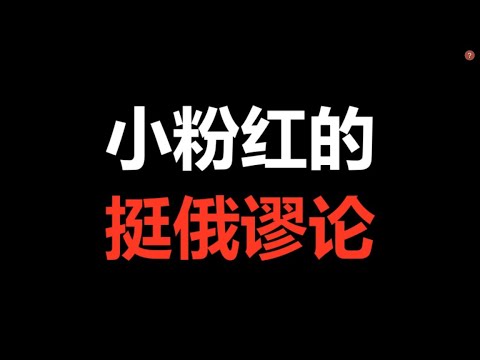 我和乌克兰人民站在一起，说说小粉红的挺俄谬论