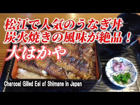 【島根グルメ】宍道湖沿いのうなぎ屋さん、絶品うなぎ丼！「大はかや」【Exquisite eel bowl of Matsue city, Shimane in Japan】