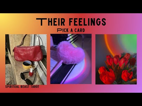 pick a card | their feelings towards you