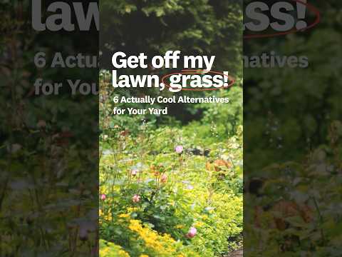 Send this to the friend that hates mowing their lawn 😅#lawncare #homeowner  #landscaping