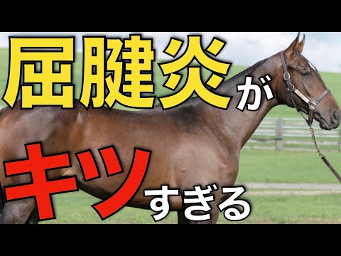 出資馬が屈腱炎再発で引退発表…。あまりにもキツすぎる現実から思ったこと。