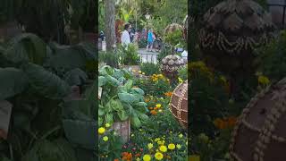 Epcot International Flower and Garden festival Part 3 #epcotflowerandgardenfestival