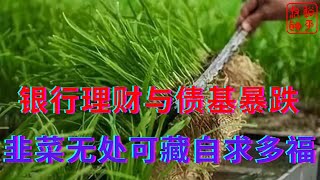 银行理财产品与债基暴跌||韭菜们惨遭被搁无处躲藏||躺平叔聊银行理财