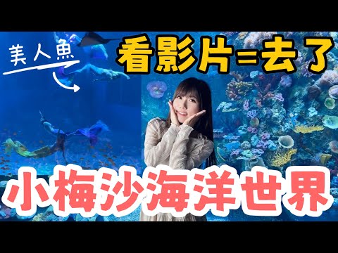 深圳聖誕好去處｜海洋世界值得去？美人魚表演｜海洋主題公園｜串殿慶祝生日｜深圳市鹽田區｜親子好去處｜拍拖打卡景點｜小梅沙｜黑貓深圳遊