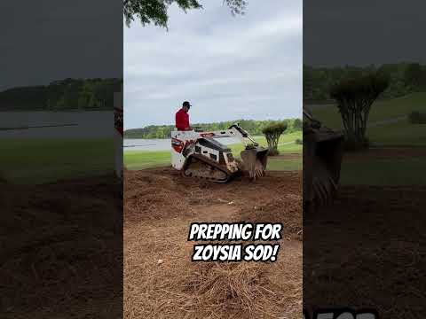 Prepping for NEW Zoysia sod with our Mini skid #landscape #lake #lawn