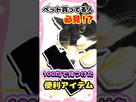 ペット飼ってる人必見！？百均で見つけた容器がめちゃくちゃ便利アイテムだった！