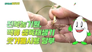 2022 02 14 맥류생육재생기 웃거름시용 당부